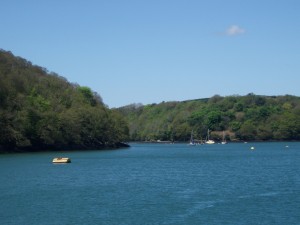 Looking upstream from the King Harry Ferry